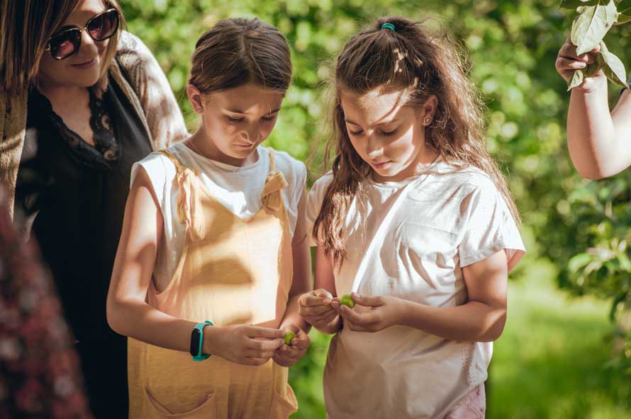 BODEGA DE SIDRA ABURUZA