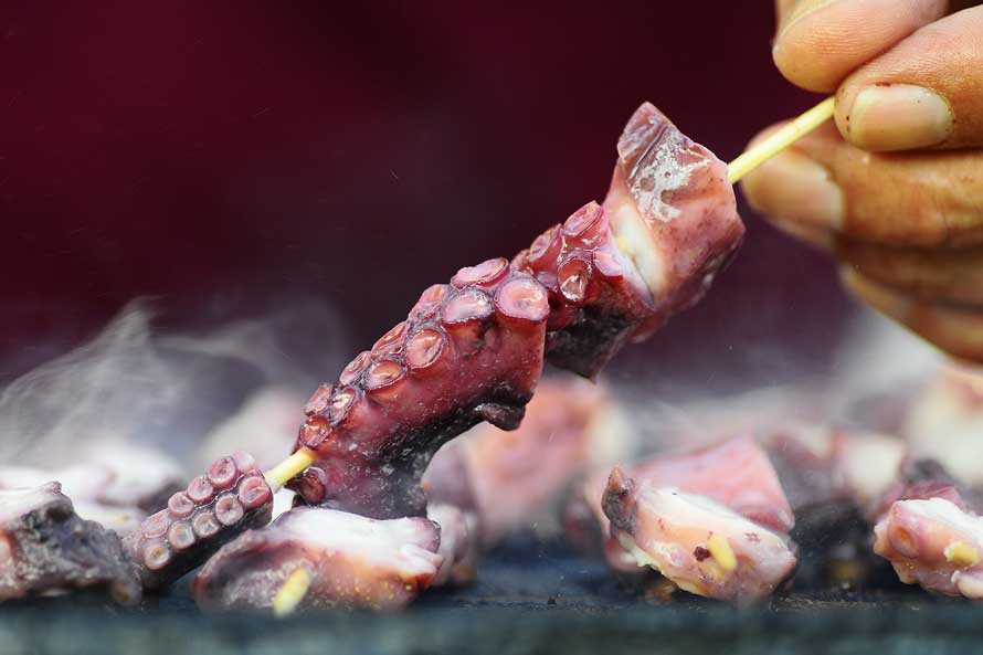 GEOPARQUE DE LA COSTA VASCA