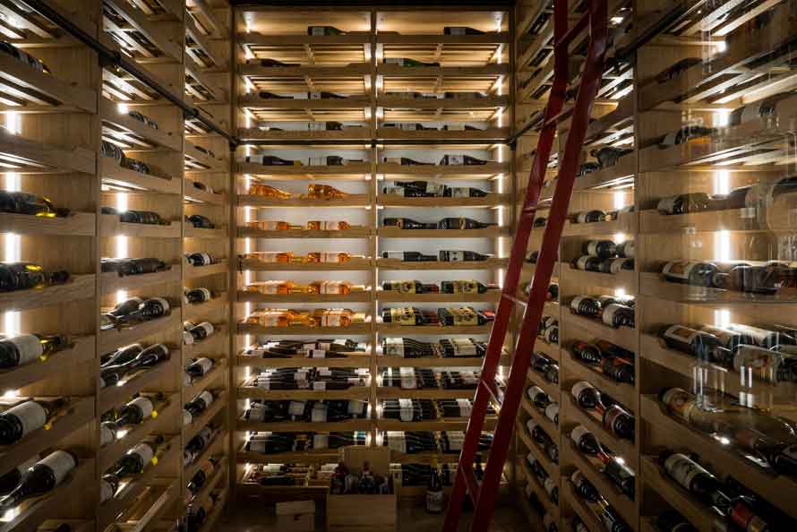 AMELIA BY PAULO AIRAUDO