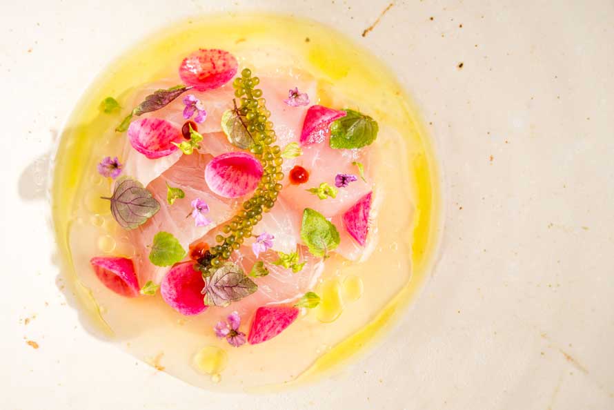 AMELIA BY PAULO AIRAUDO