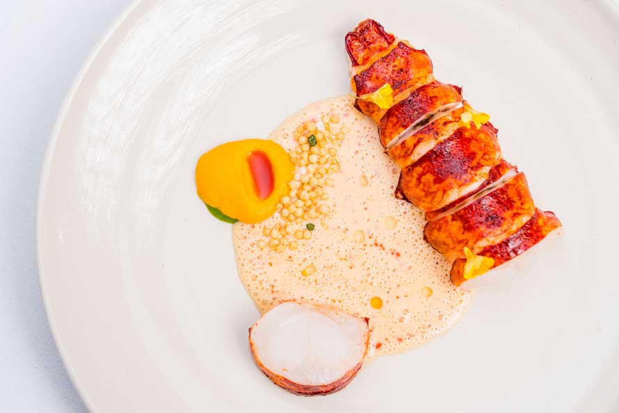 AMELIA BY PAULO AIRAUDO