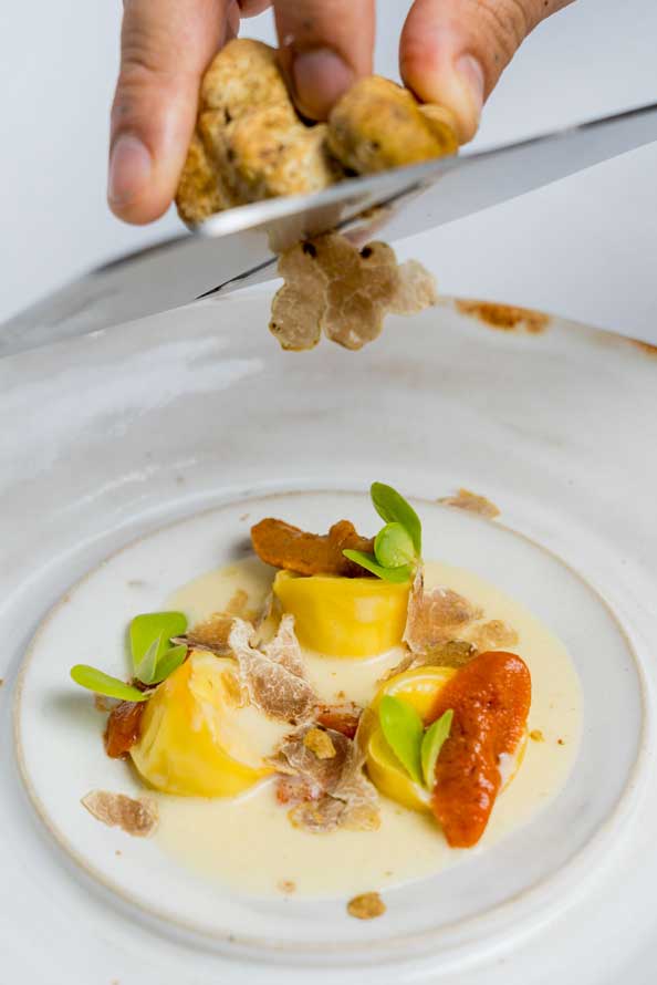 AMELIA BY PAULO AIRAUDO