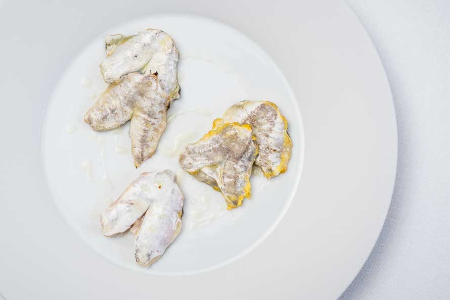 IBAI BY PAULO AIRAUDO