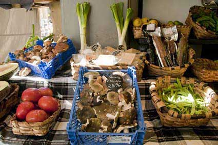 AITOR LASA GAZTATEGIA