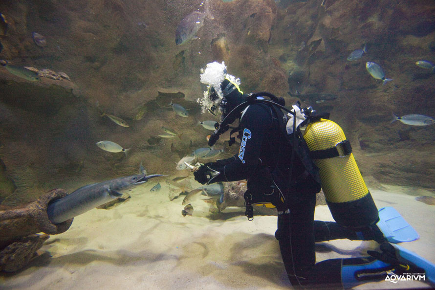 AQUARIUM DONOSTIA-SAN SEBASTIÁN