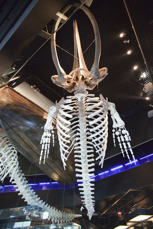 AQUARIUM DONOSTIA-SAN SEBASTIÁN