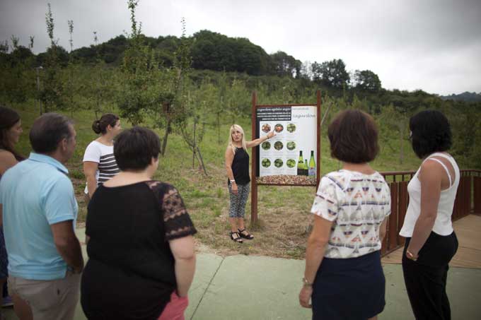 SIDRERIA PETRITEGI SAGARDOTEGIA