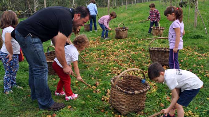 SIDRERIA PETRITEGI SAGARDOTEGIA