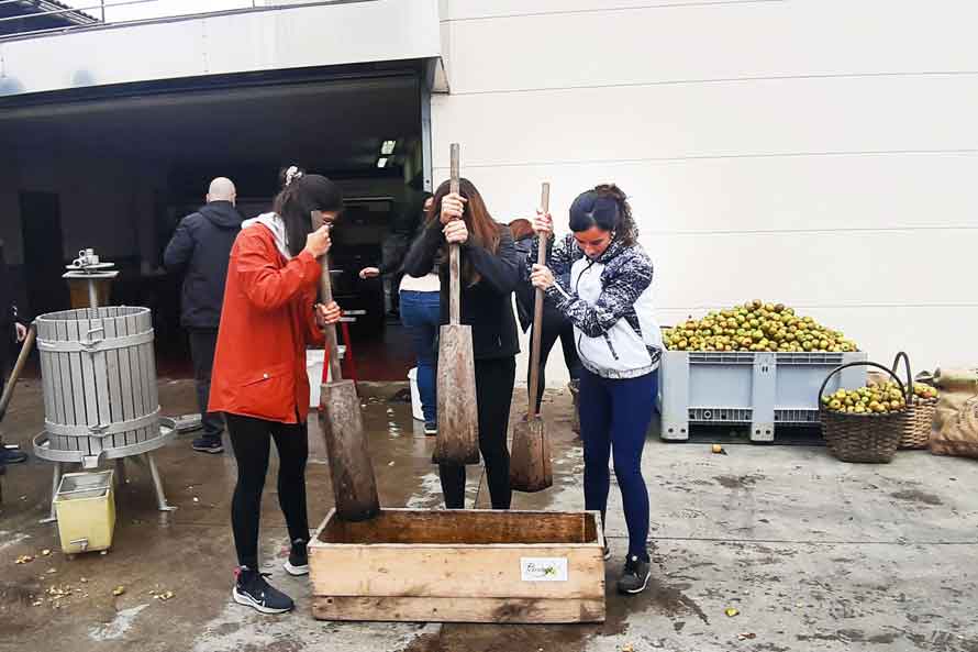 SIDRERIA PETRITEGI SAGARDOTEGIA