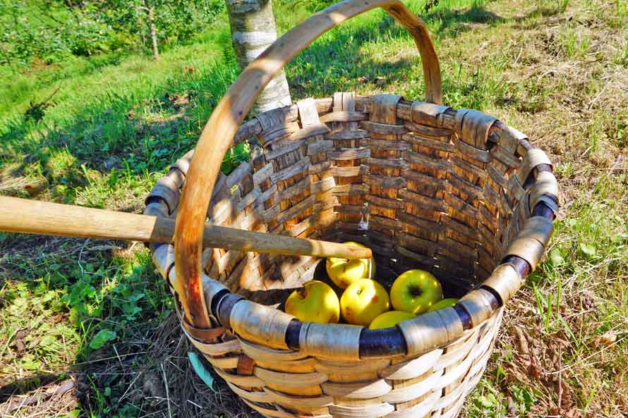 SIDRERIA PETRITEGI SAGARDOTEGIA