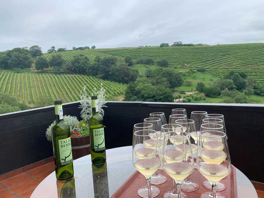 TALAI BERRI TXAKOLINDEGIA