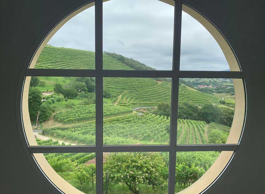 TALAI BERRI TXAKOLINDEGIA