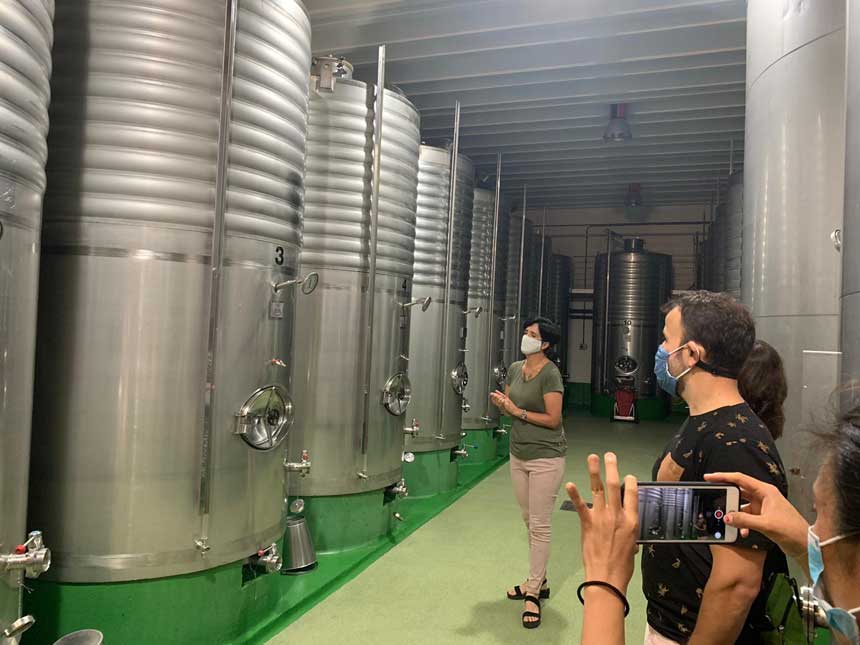 TALAI BERRI TXAKOLINDEGIA