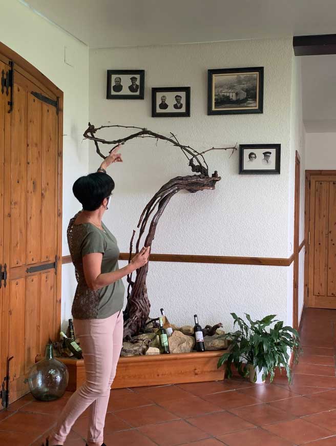 TALAI BERRI TXAKOLINDEGIA