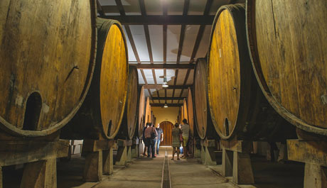 SIDRERIA SAIZAR SAGARDOTEGIA