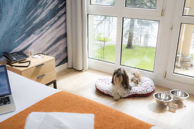 HOTEL CASUAL DE LAS OLAS