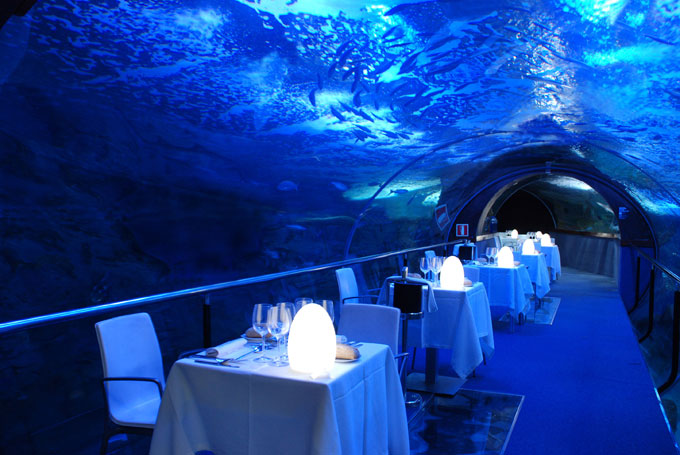 AUDITORIO AQUARIUM